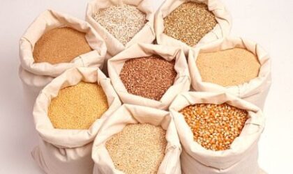 Jenis Bahan Pakan Ternak Hewan