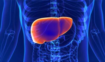 Menjaga Kesehatan Liver (Shutterstock)
