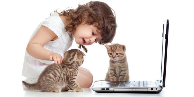 Manfaat Memelihara Kucing dan Cara Merawat Kucing / Shutterstock