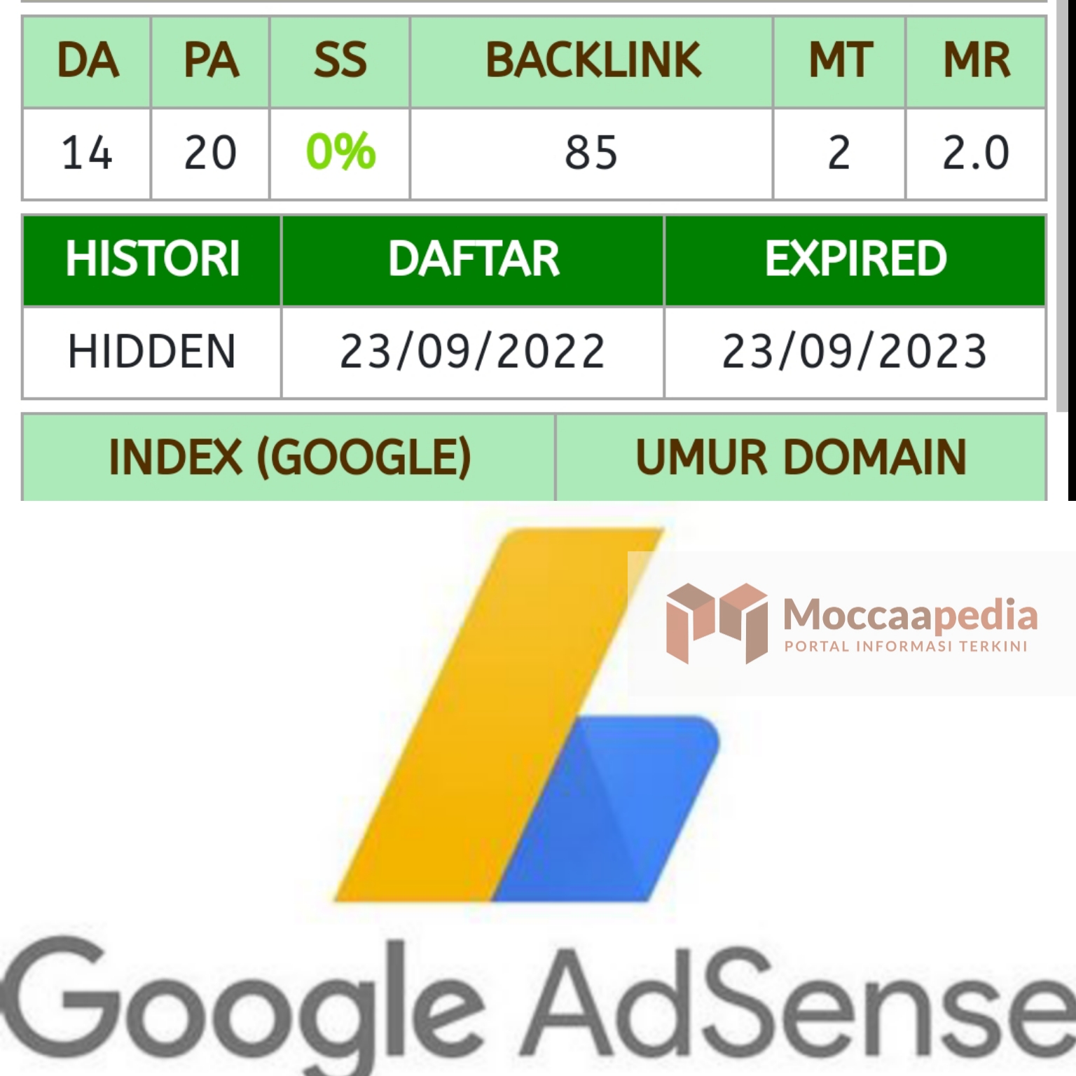 Setelah Lolos Google AdSense: Petualangan Baru Menuju Kesuksesan Monetisasi