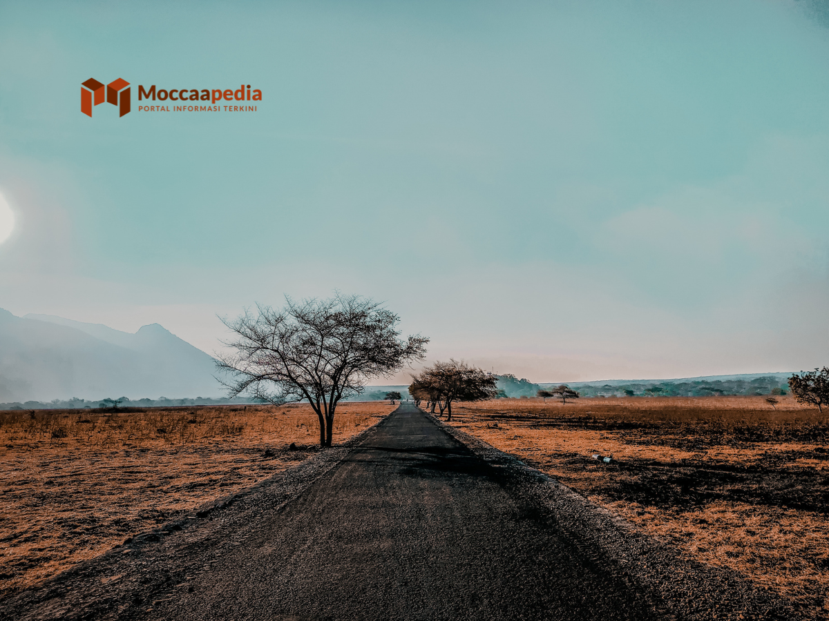 Kuliner Khas Banyuwangi