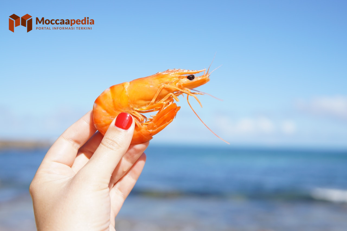 6 Hewan Omnivora Pemakan Segala, Pecinta Hewan Harus Tahu