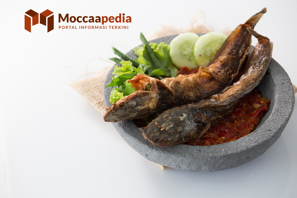 Meski Murah, Ternyata Peluang Usaha Pecel Lele Menjanjikan