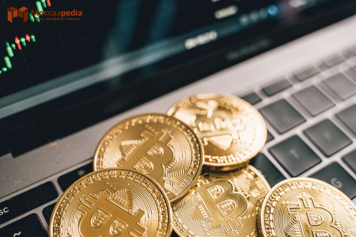 Apa itu Venom Network Dan Cara Nenggunakannya