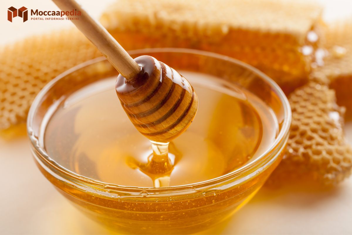 Khasiat Madu Bajakah Borneo Bagi Kesehatan