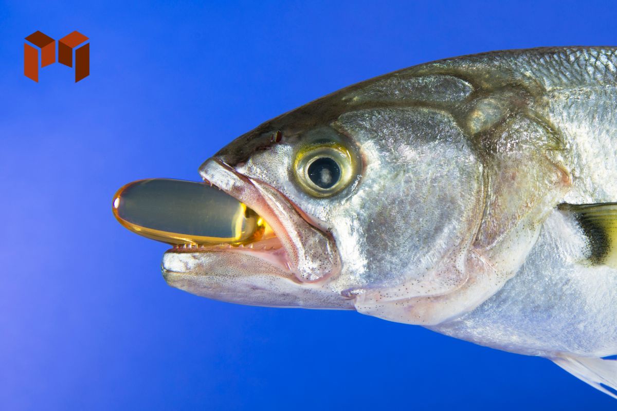 Mengenal Olimex Minyak Ikan Gabus dan Manfaatnya
