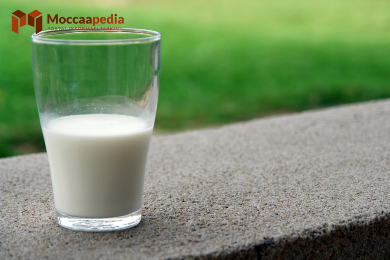 Berapa Harga Susu Anlene dan Manfaatnya?