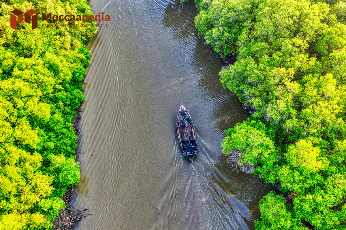 5 Wisata di Malaysia yang Harus Dikunjungi