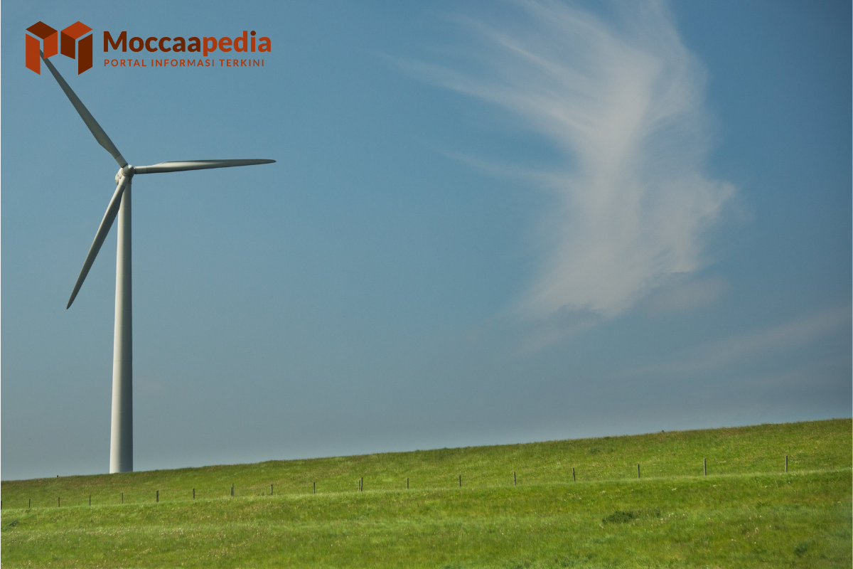 9 Contoh Teknologi Ramah Lingkungan dalam Kehidupan