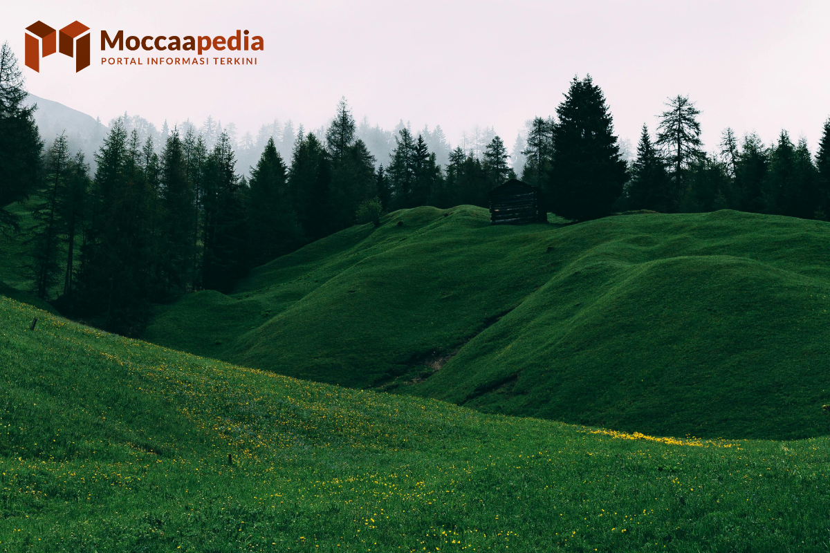 3 Rekomendasi Wisata Bukit di Indonesia
